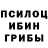 Галлюциногенные грибы Psilocybine cubensis Eugene Tamansky