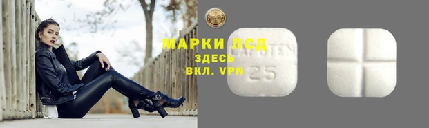 мдма Гусев