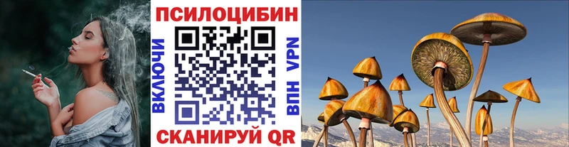 Галлюциногенные грибы ЛСД  Дубовка 